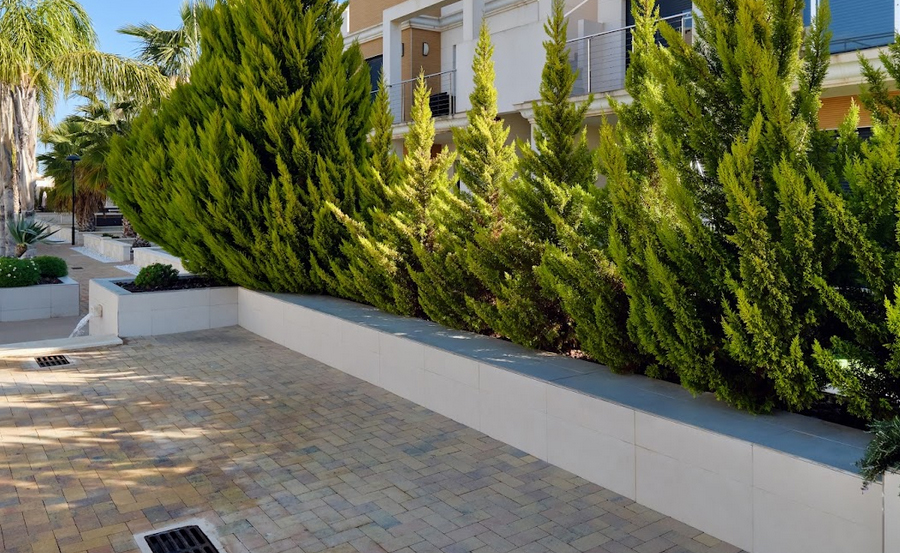 Coa gardening and driveway cleaning services